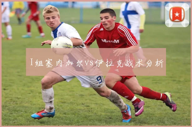 I组塞内加尔vs伊拉克战术分析
