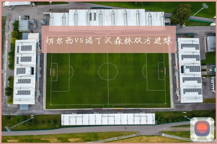 切尔西vs诺丁汉森林双方进球