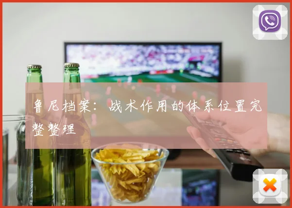 鲁尼档案:战术作用的体系位置完整整理